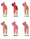 CHARACTER LIP LOCK LIPSTICK 