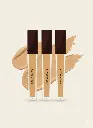 REALBEAUTY VANISH AIR BRUSH CONCEALER