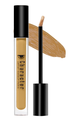 Character HD Coverage Concealer 10