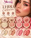 TERRA COTTA HIGHLIGHTER POWDER