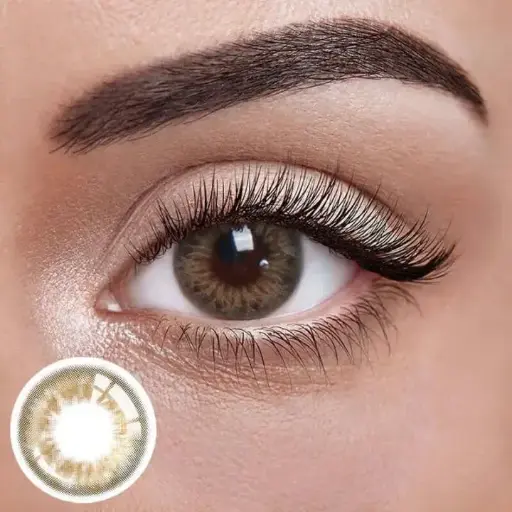 [lenses] DILAY 
