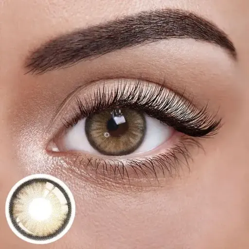 [lenses] MERIGOLD 