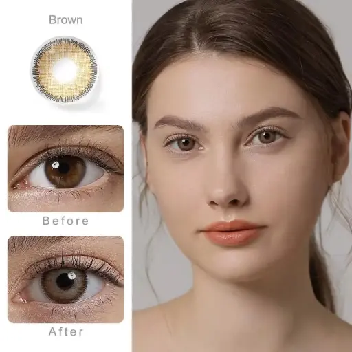 [BROWN] PREMIUM BROWN 