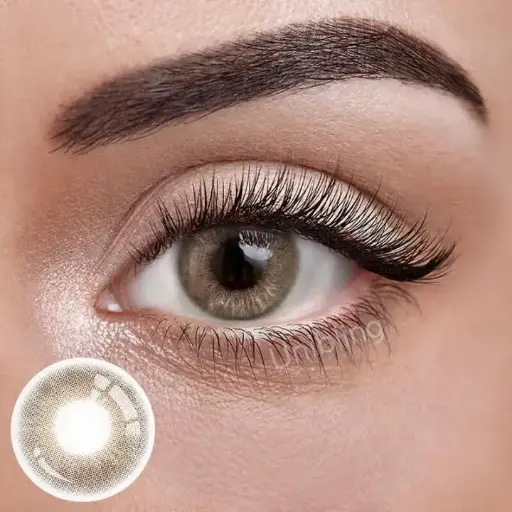 [lenses] SHAIN BROWN 