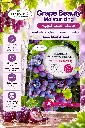 FACE MASK GRAPE