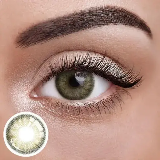 [GREEN] DREAM GREEN
