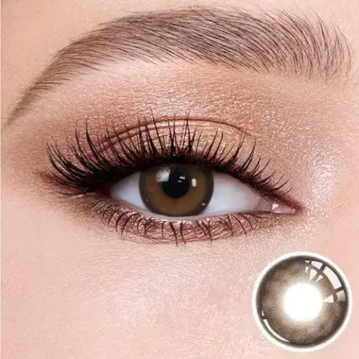 [brown] DEMY 