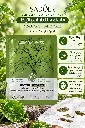 MASK CENTELLA