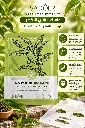 MASK GREEN TEA