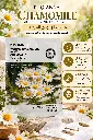 FACE MASK CHAMOMILE